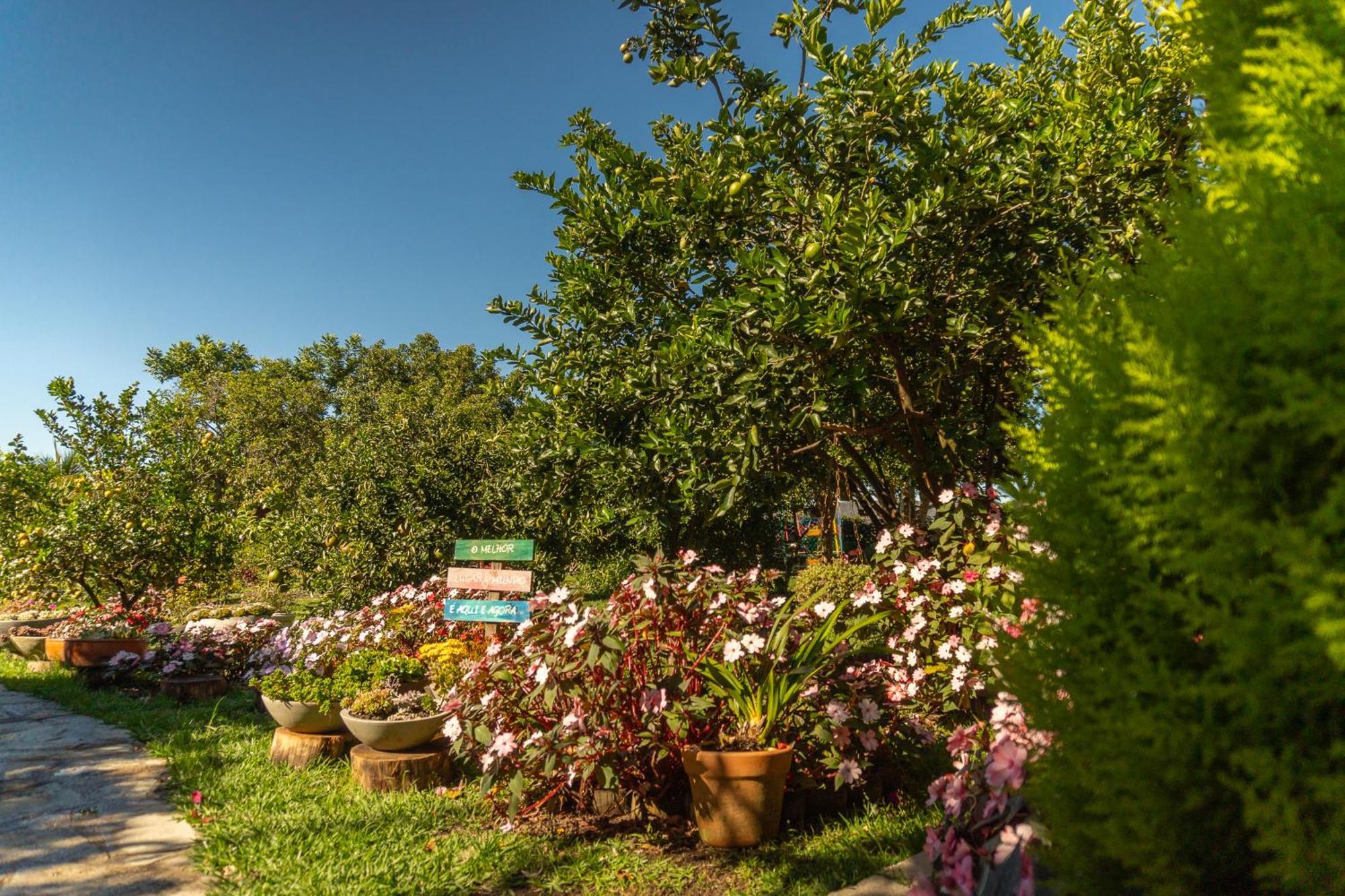 Vila Da Mata Chales Alto Paraíso de Goiás 外观 照片